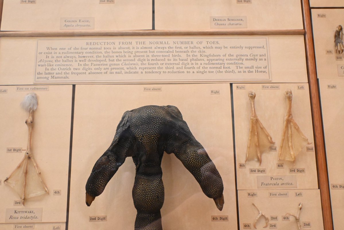 TOKYOMODELING@次回はWF2026s tweet media