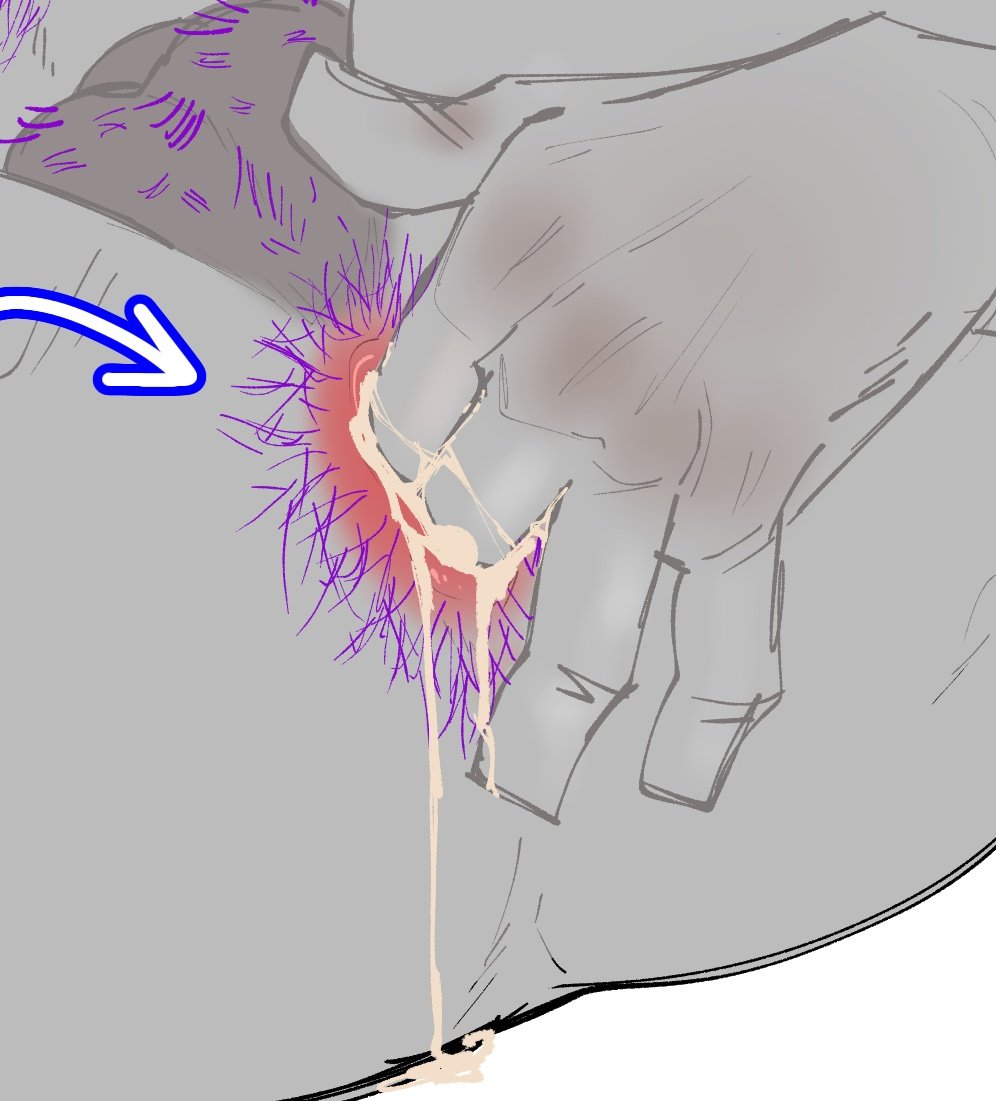 king 🔞 (hiatus) tweet media