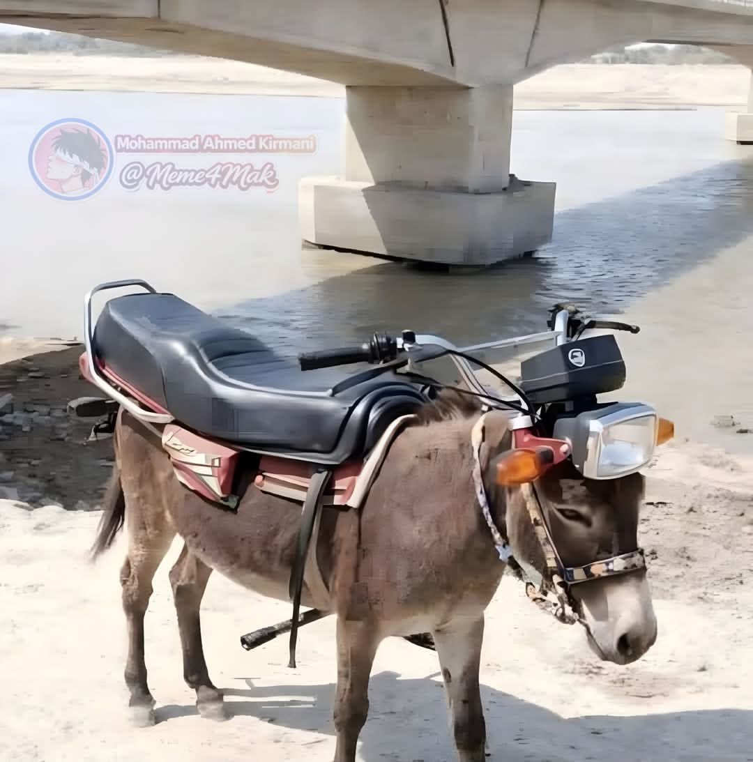 Khoxy_Haxy's tweet image. During auction at police offfce, you will come across motorcycles in beyond repair mode going at as low as K50,000. Buy to combine the seat and head lamp with a donkey. You will start making taxi money the same day.