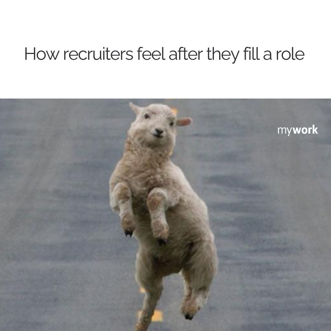 myworkagency's tweet photo. So true 😂

#recruitment #meme #hiring https://t.co/QqR3CH63XN