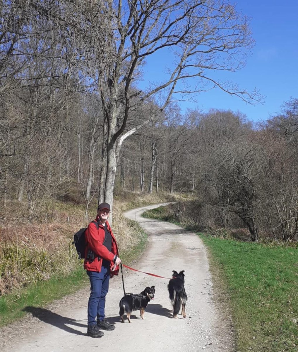 'When Penny came to us on foster, she was scared of most things, especially the outside world. Even going into the garden was a big challenge for her. With time and patience she's come to trust us and feel safe with us and she's blossomed into a relaxed, happy girl who loves