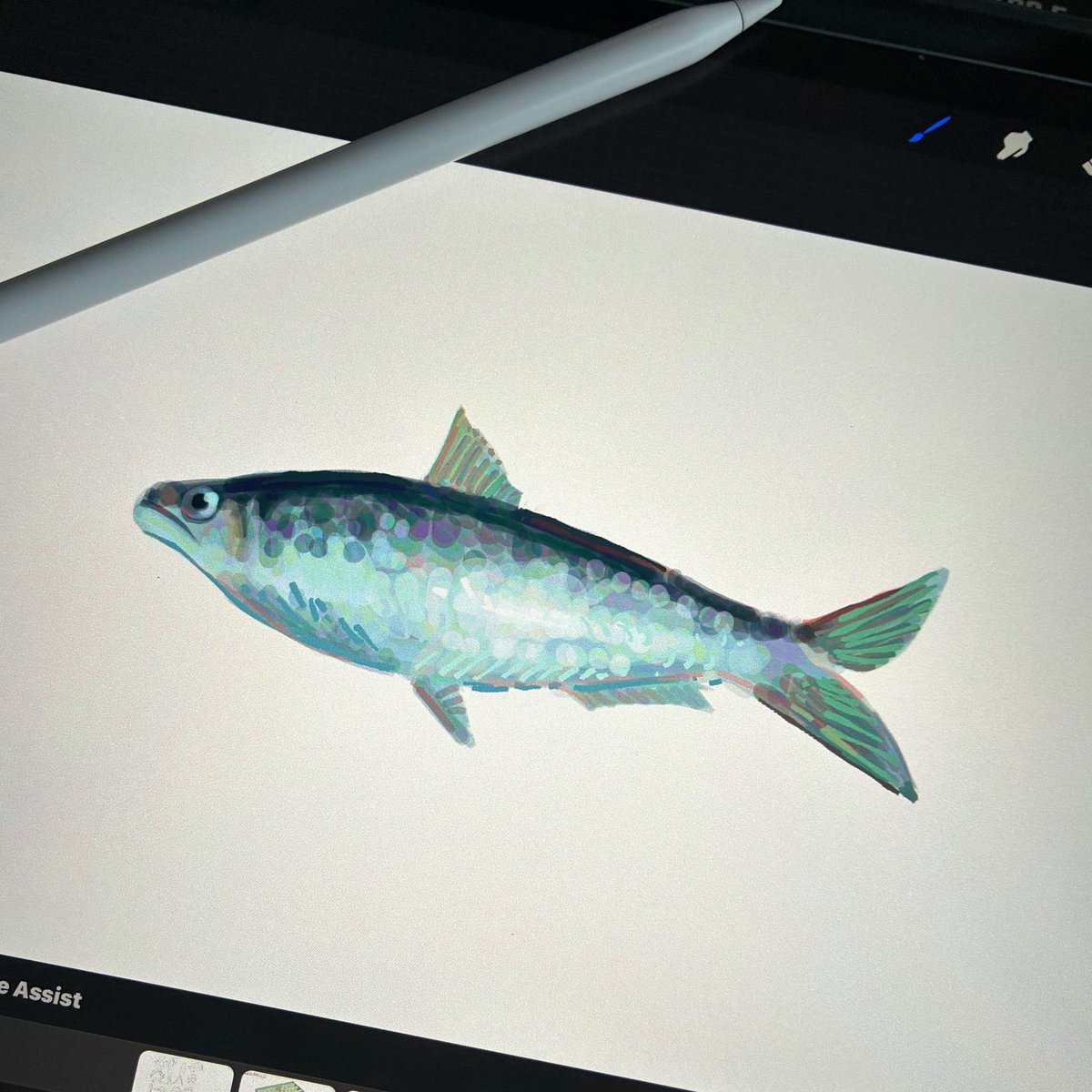 Wynn 維闇 📂 tweet media