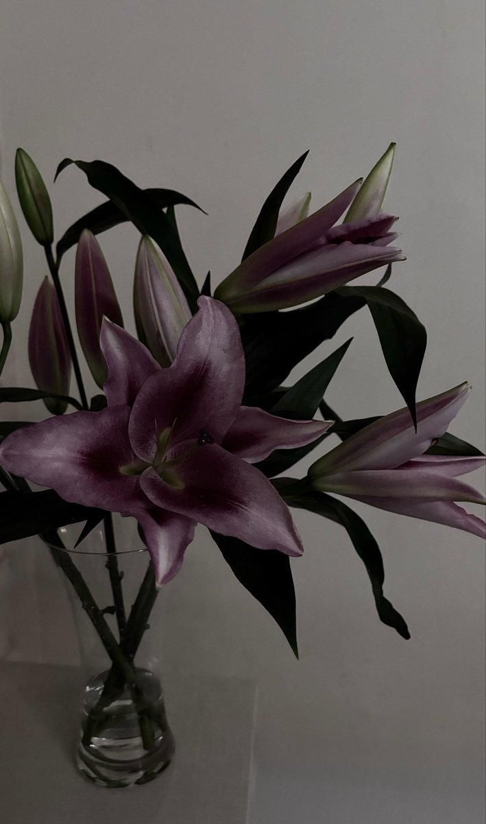 blackest shadow full of death tweet media