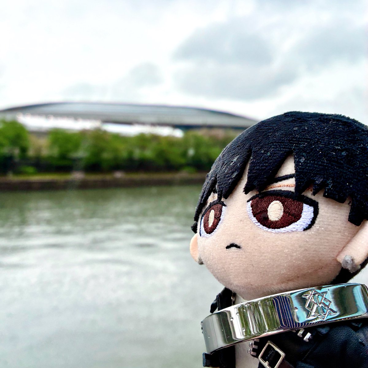 ルプぬい tweet media