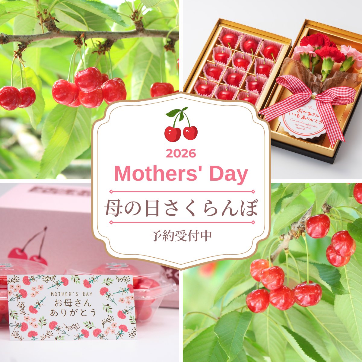 Freshfruits アルベシタ tweet media
