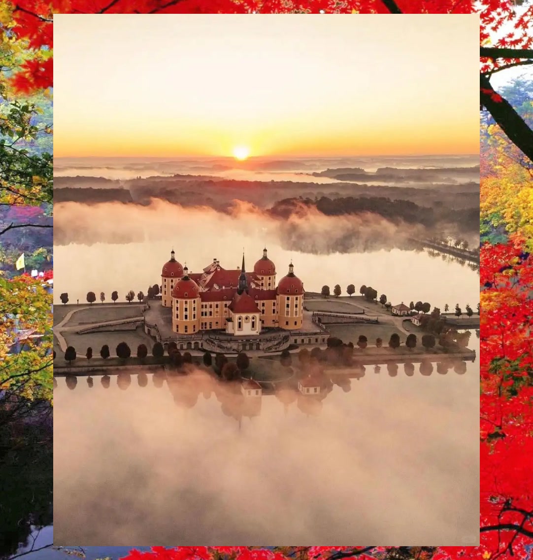 June Kwasniewski tweet media