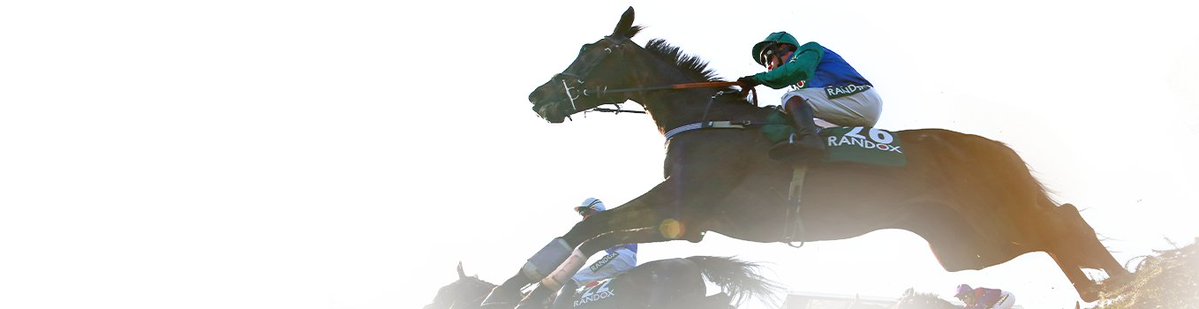 🐦Pigeon🐎Island🐦 tweet media