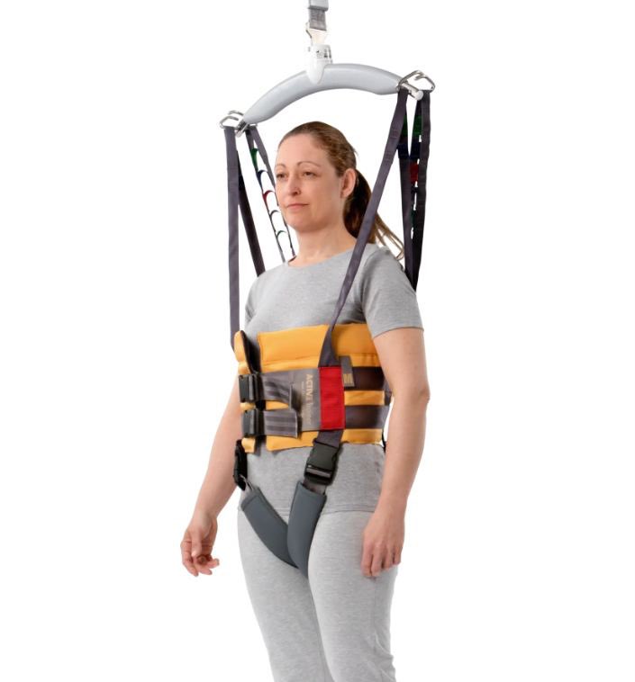 Sasha The Hedgie ‼️📣🦔 tweet media