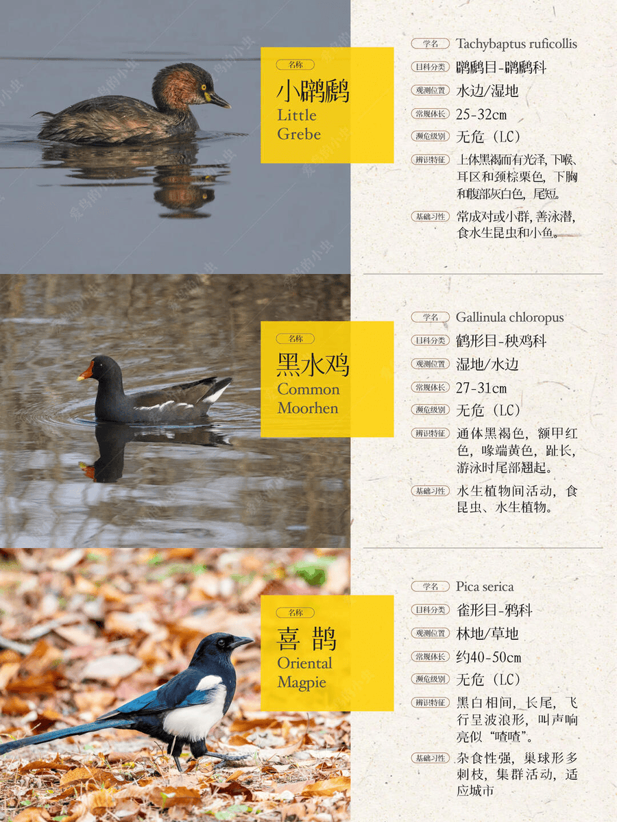 Татьяна tweet media