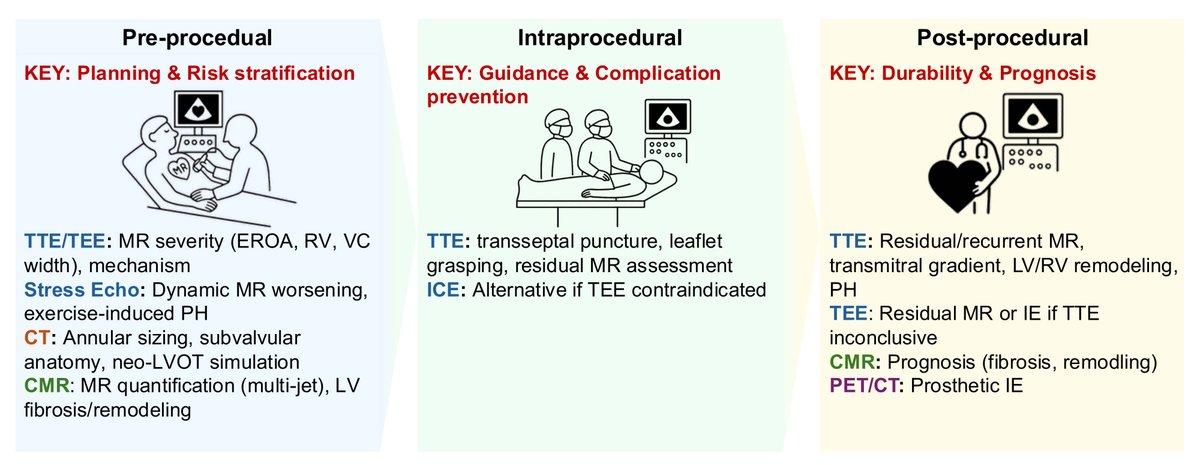 hsfeditor's tweet photo. 💡How essential is #Imaging in #TAVR &amp; #MTEER for #TranscatheterCardiacSurgery? 

🫀The latest work from Showa Medical University Koto-Toyosu Hospital by Dr. @higestagram is now featured in HSF!

👉: https://t.co/rZylquba8E
#CardioTwitter #StructuralHeart #MedTwitter #HeartValve https://t.co/lDeSv9GGFG