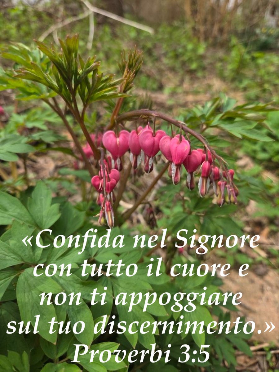 ArmandoSofia2's tweet photo. https://t.co/djvtZppnjo