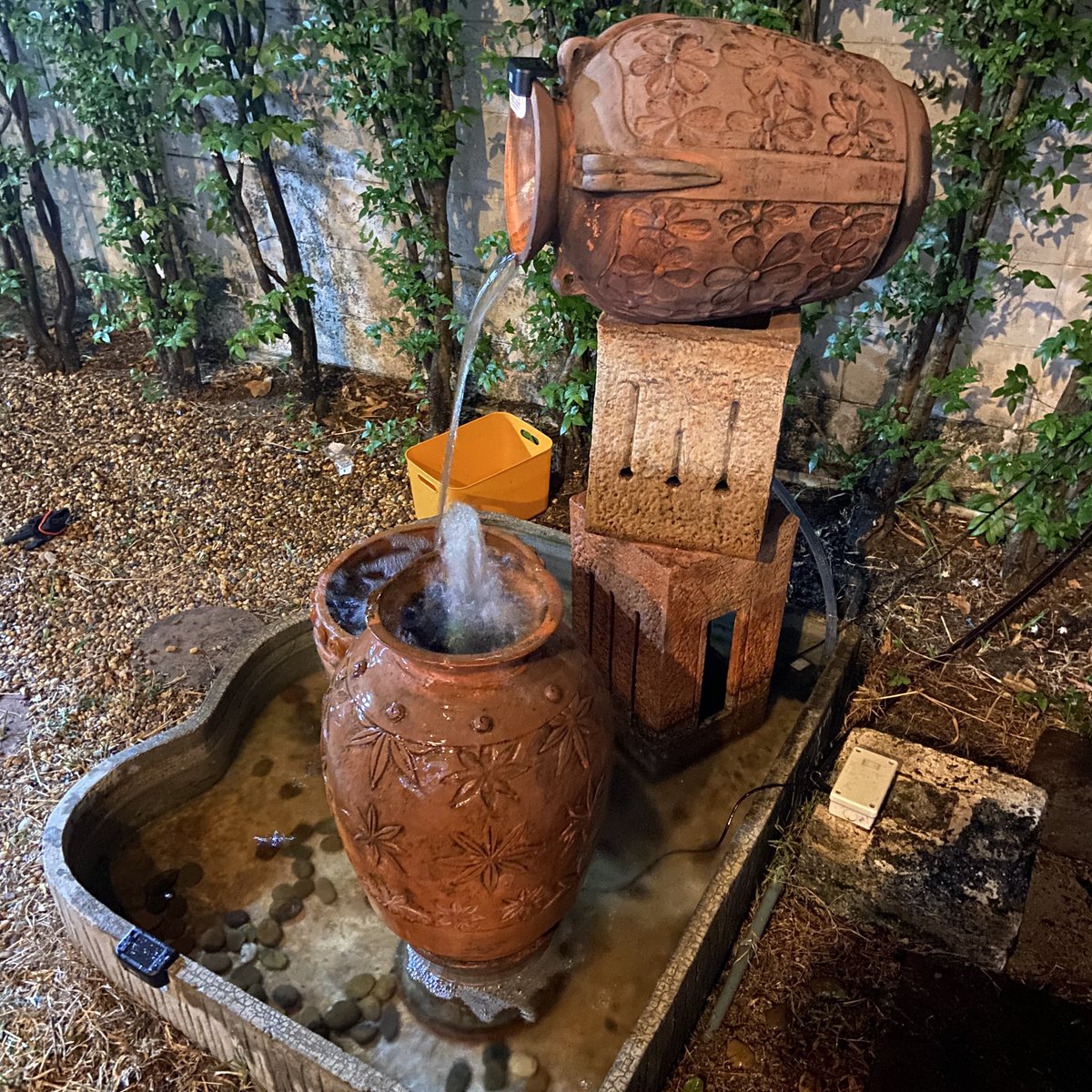 👁️OrangeDog tweet media