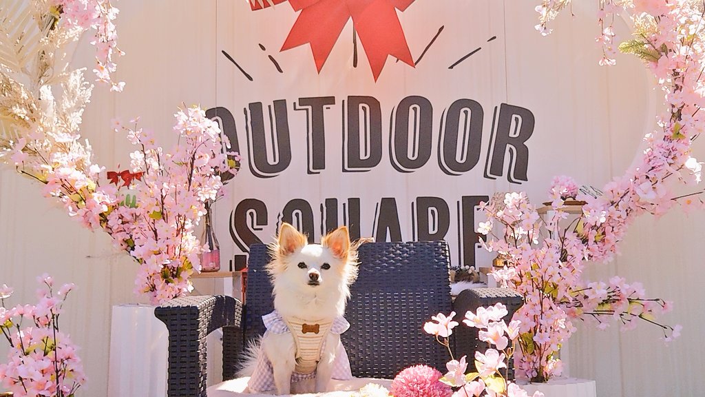 ゆずか tweet media