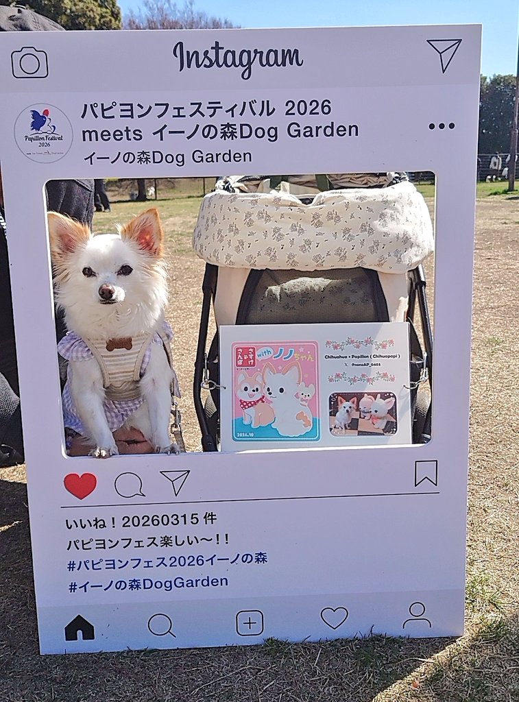 ゆずか tweet media