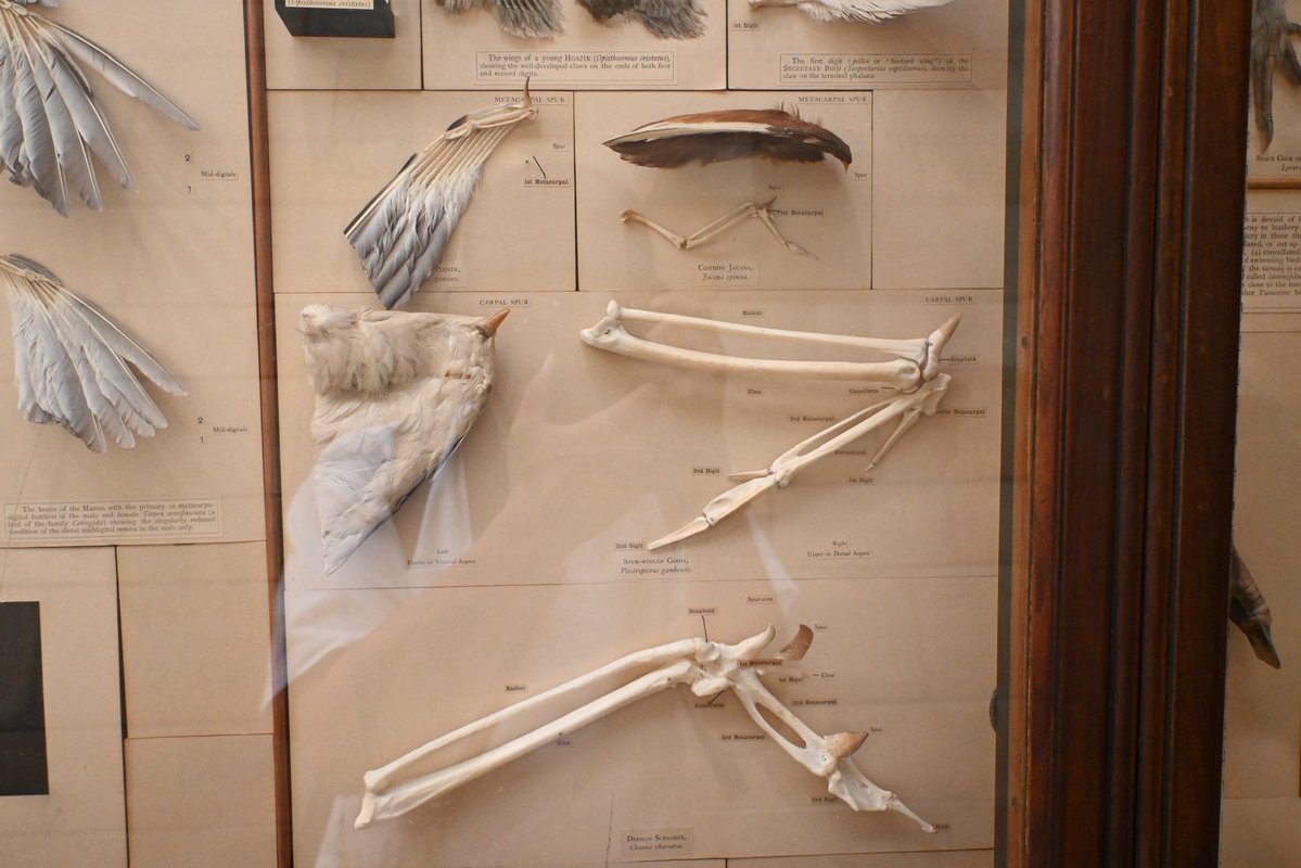 TOKYOMODELING@次回はWF2026s tweet media