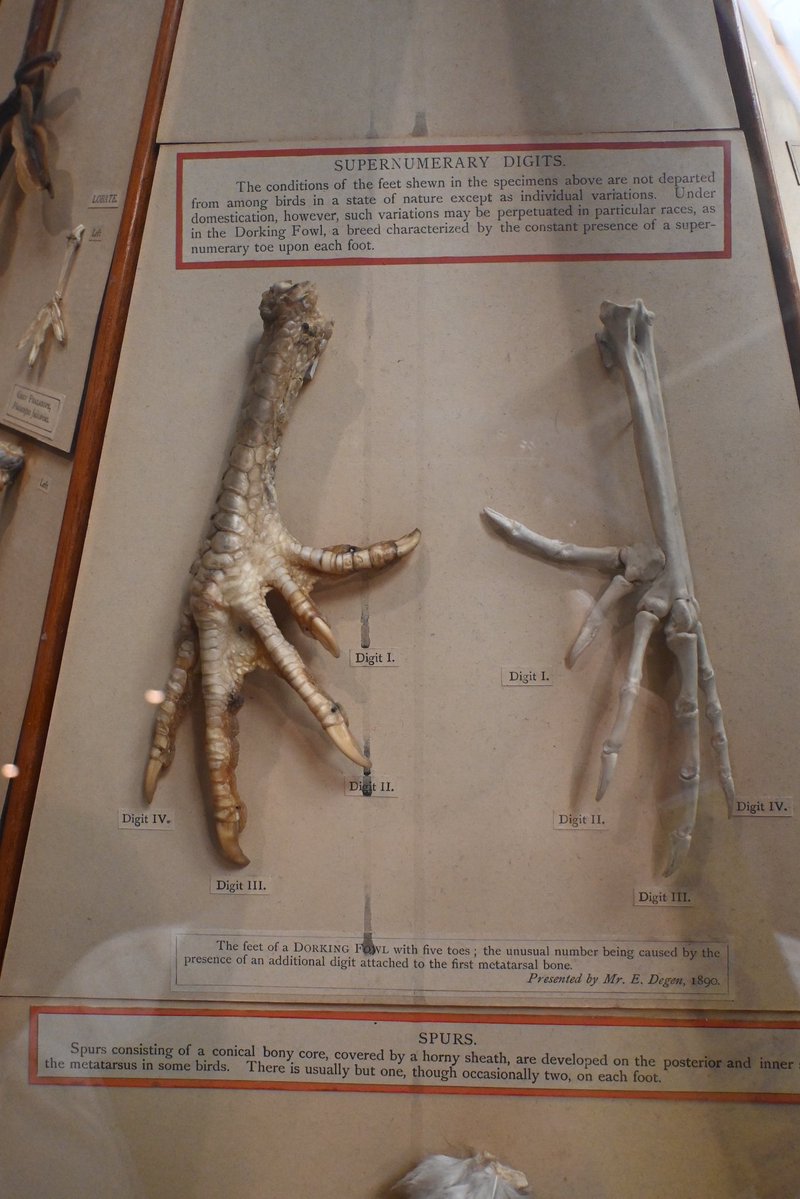 TOKYOMODELING@次回はWF2026s tweet media