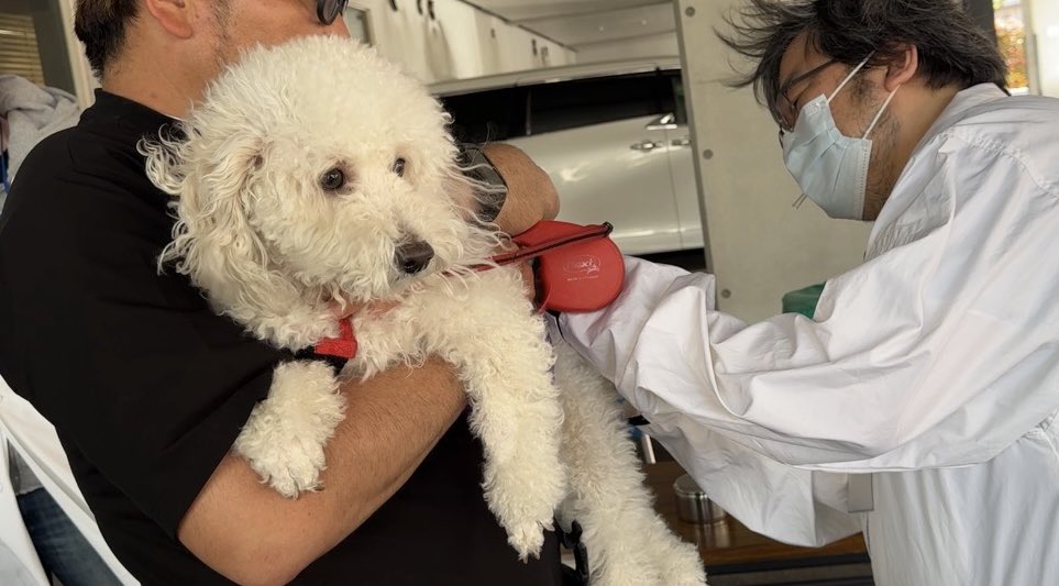 葛飾区 tweet media