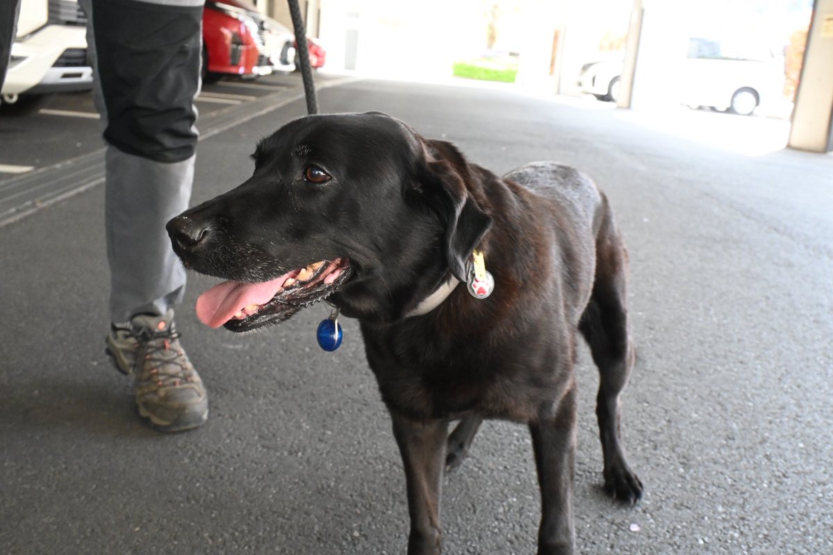 葛飾区 tweet media