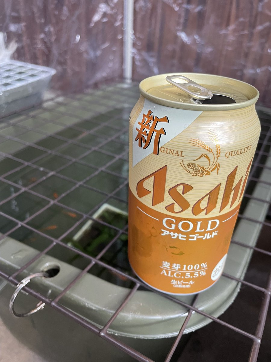 松葉鯉 tweet media