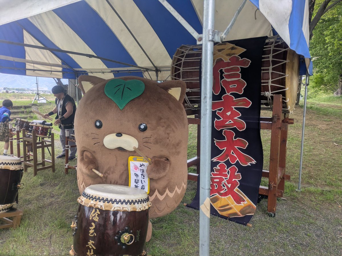 やはたいぬ tweet media