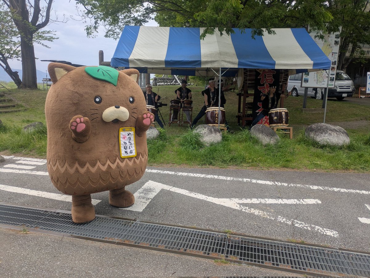 やはたいぬ tweet media