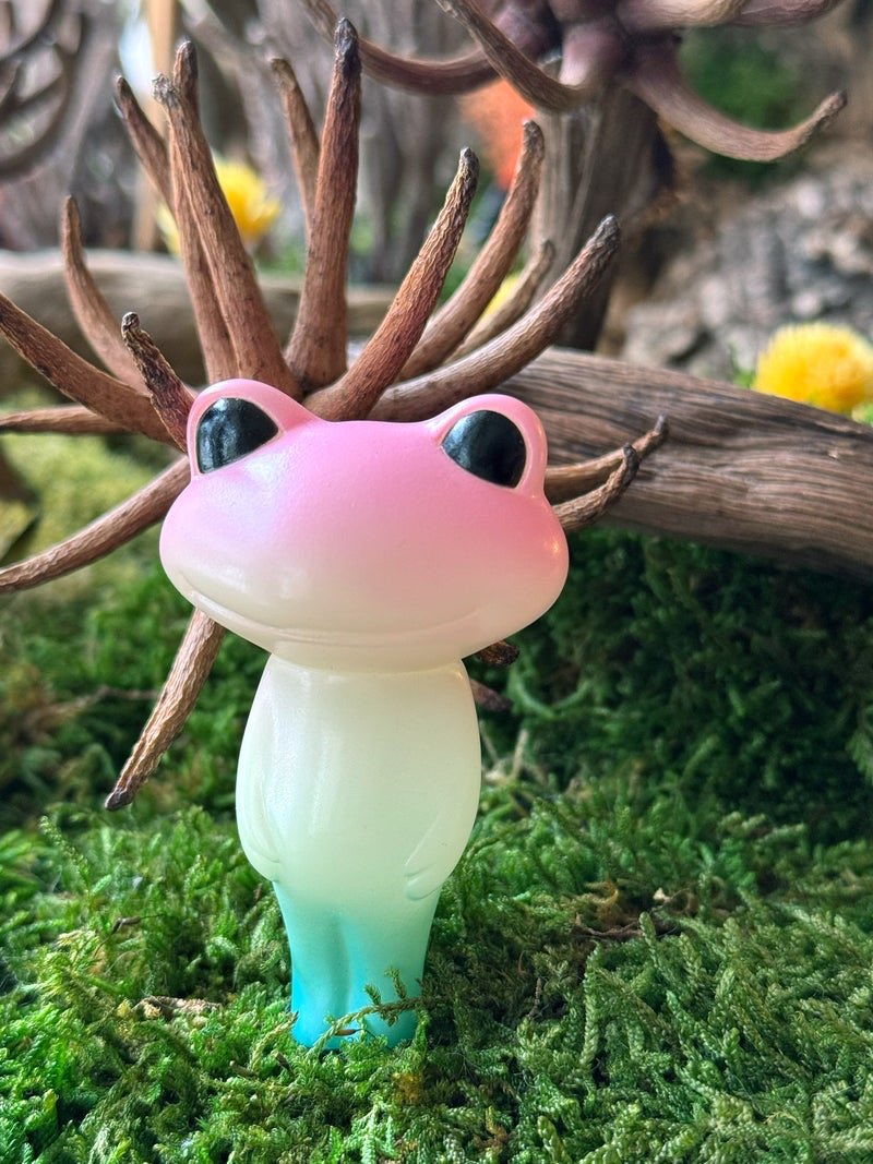 Wonder Frog Offical International tweet media