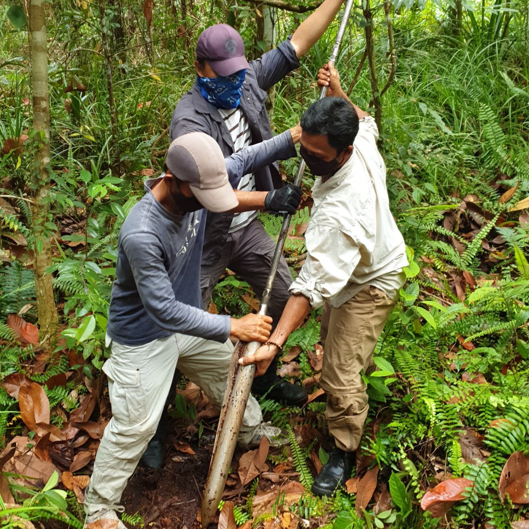 Katingan Mentaya Project English tweet media