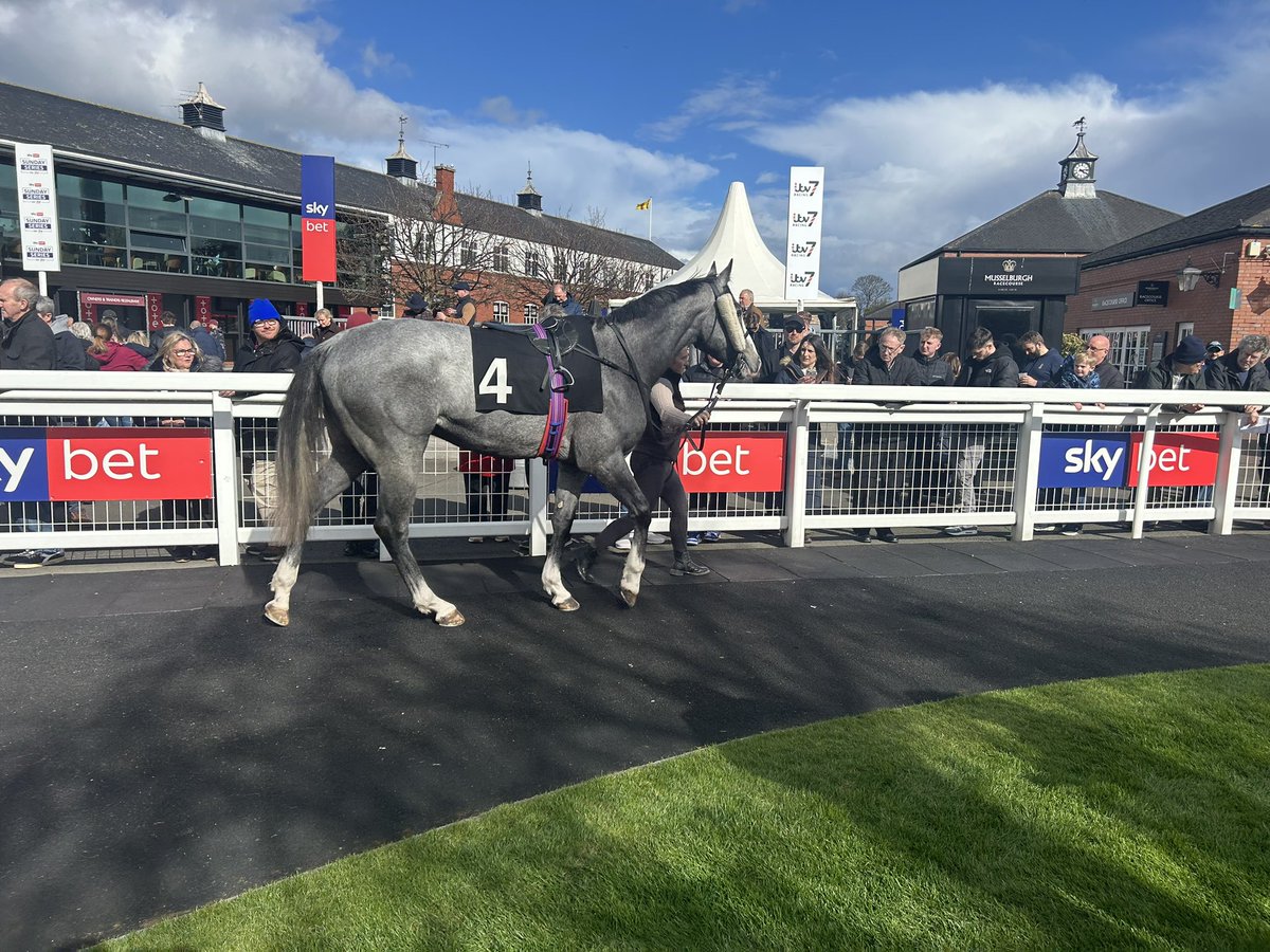 Let's Be Lucky Racing tweet media