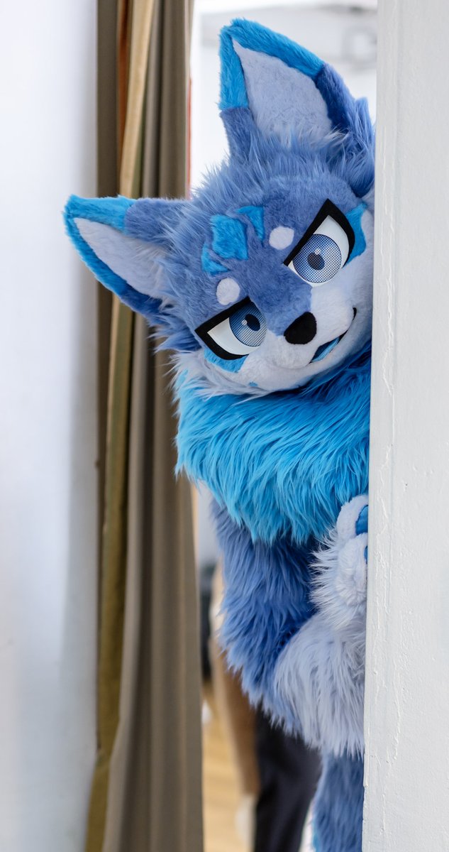 🐾화울(Whaul)🐾 tweet media