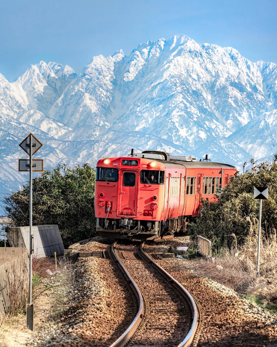 Fae°❀⋆. tweet media