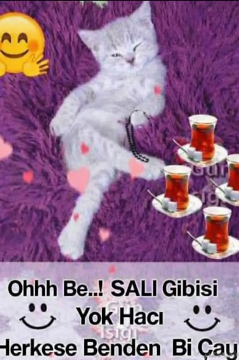 Floppa_91 tweet media