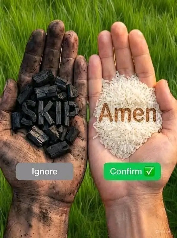 Catholic Podcasts tweet media