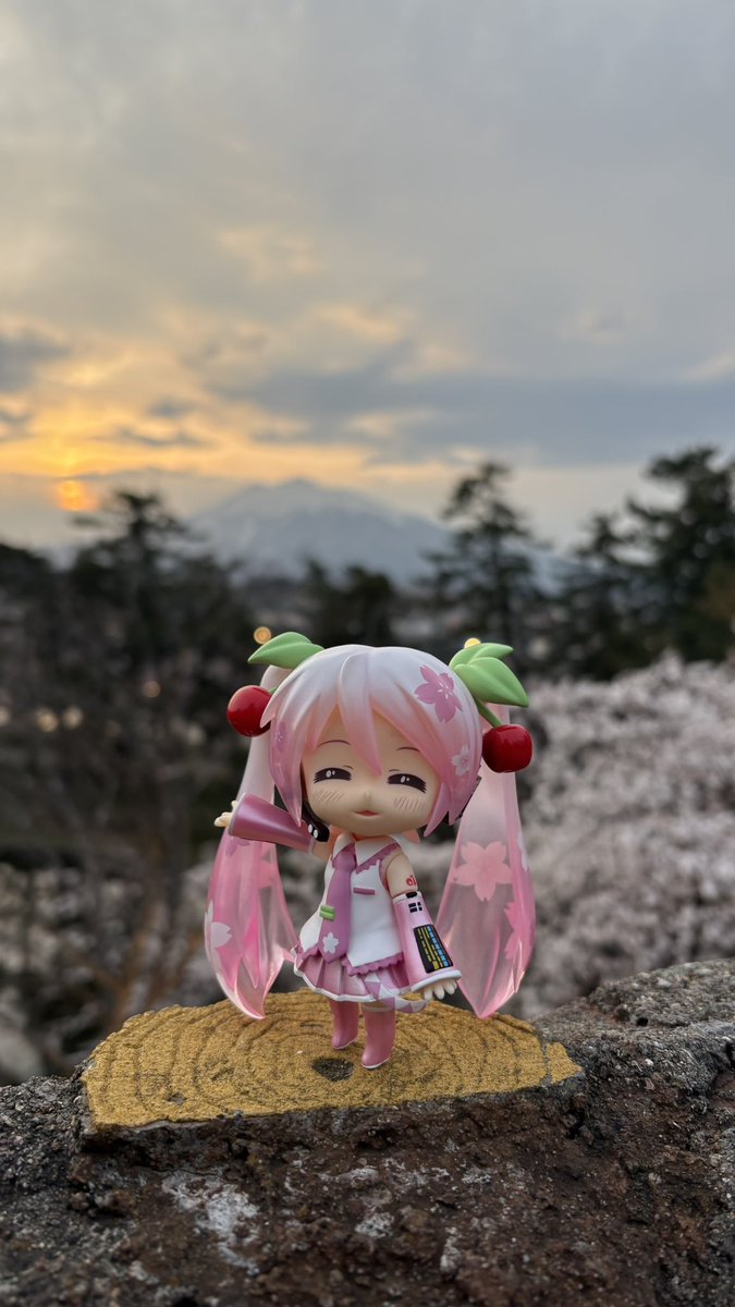 タンパク(優しくなりたい) tweet media