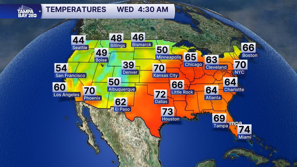 Ally Blake tweet media