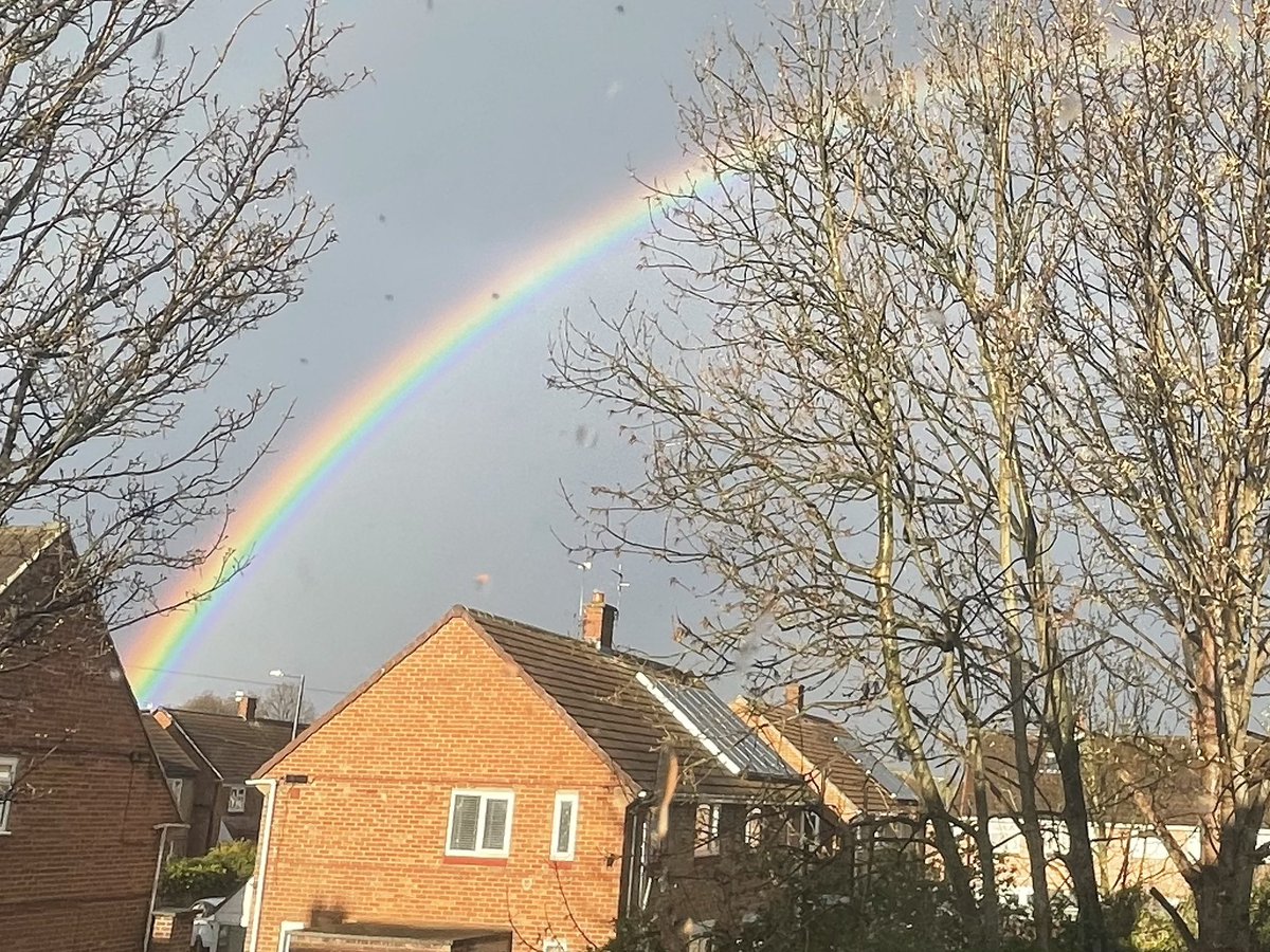 devereux1655's tweet image. Good morning beautiful people - have a wonderful day 🌸🌼🌺 #wednesday look at these beautiful rainbows that were over my sycamore tree last week #rainbow #colours #tree 🌈🌳