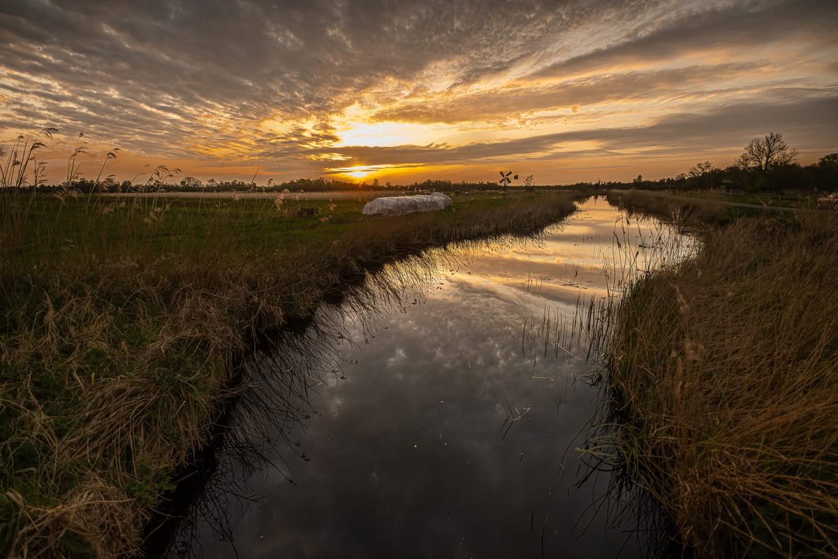 𝑻𝒂𝒓𝒂 𝑲𝒊𝒆𝒌𝒕☕️ tweet media