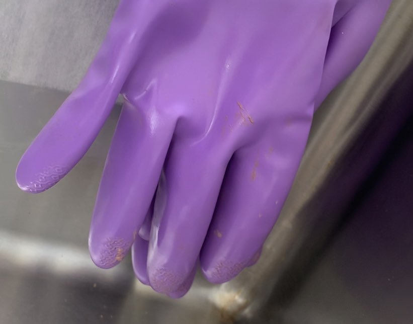 私立 聖嗜好女学院 2nd tweet media