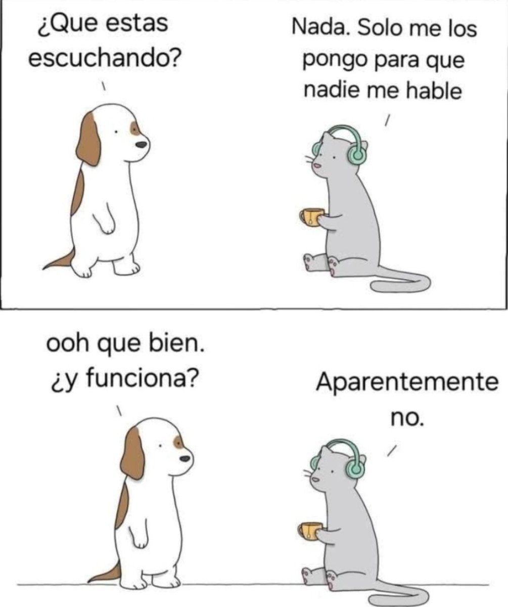 0xidoRock3 🇮🇨 tweet media