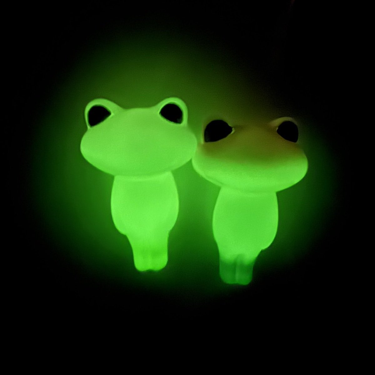 Wonder Frog Offical International tweet media