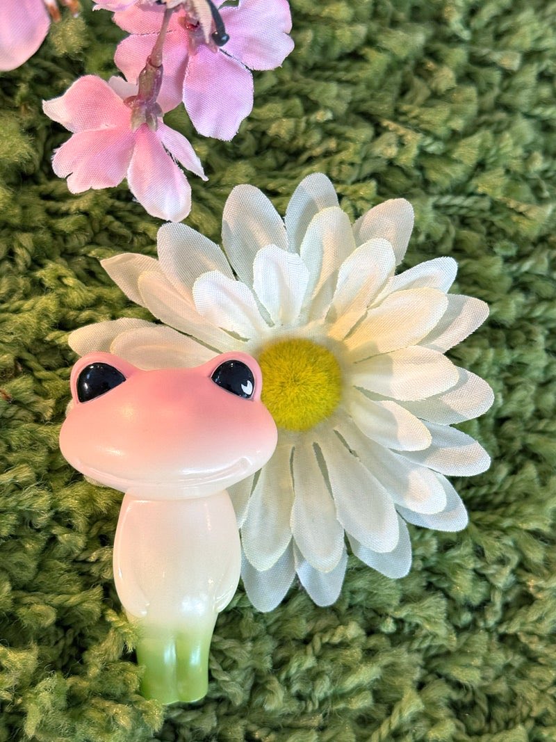 Wonder Frog Offical International tweet media