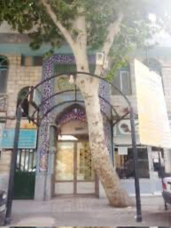 𝐍𝐢𝐨𝐡 𝐁𝐞𝐫𝐠 🇮🇷 ✡︎ tweet media