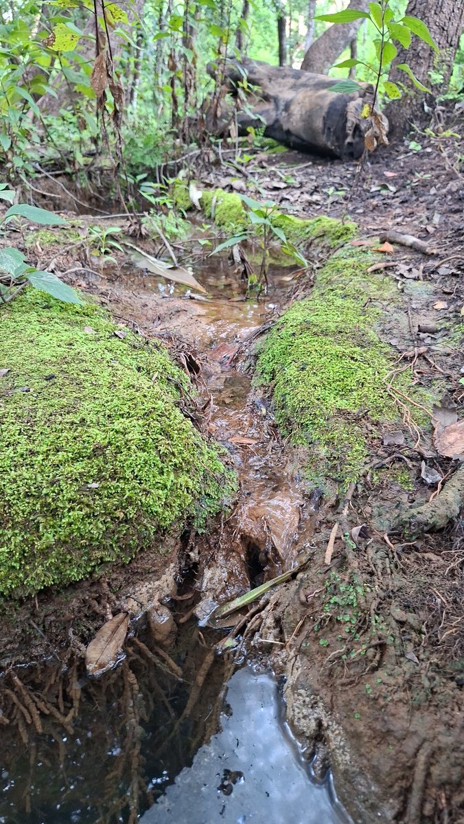 chef_rumbie tweet media