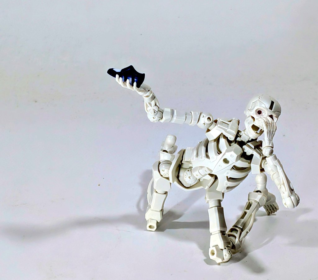 クトゥーマ tweet media