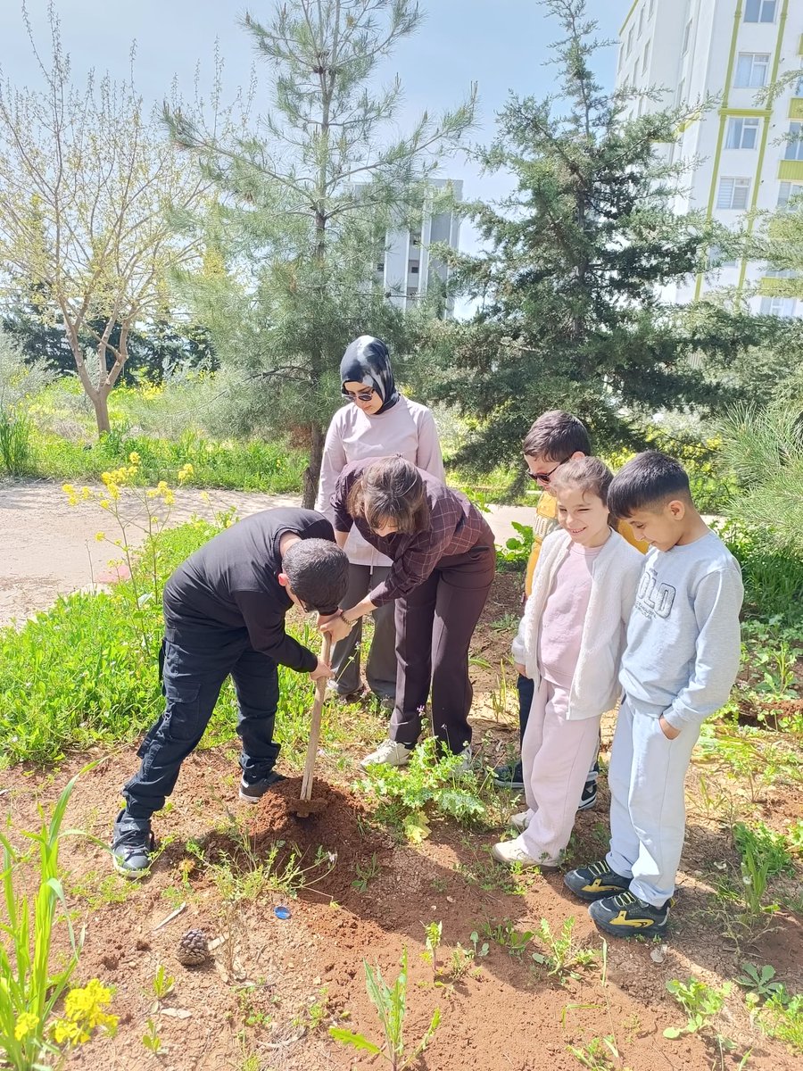 SanlGorme's tweet photo. Şehit öğretmenlerimizin hatırasını yaşatmak için dikilen her fidan, onların bilgiyle aydınlattığı yolların doğaya uzanan bir devamıdır.Toprağa bıraktığımız her can, geleceğe bırakılan bir umut; her kök, vatan sevgisinin bir ifadesidir. Şehit öğretmenlerimizi rahmetle anıyoruz. https://t.co/WQ4QcSmASe