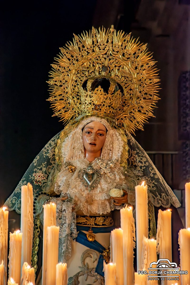 Hermandad Jesús Caído Cádiz tweet media