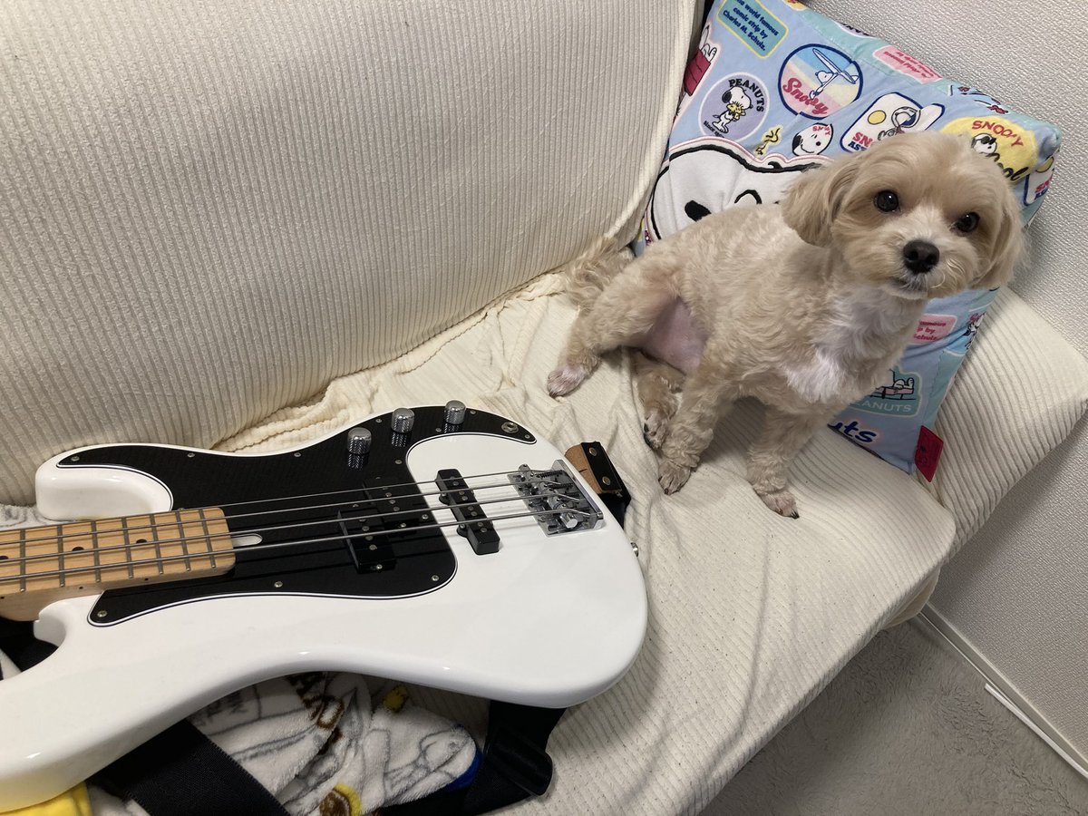 りーも@Re:Sail Records tweet media