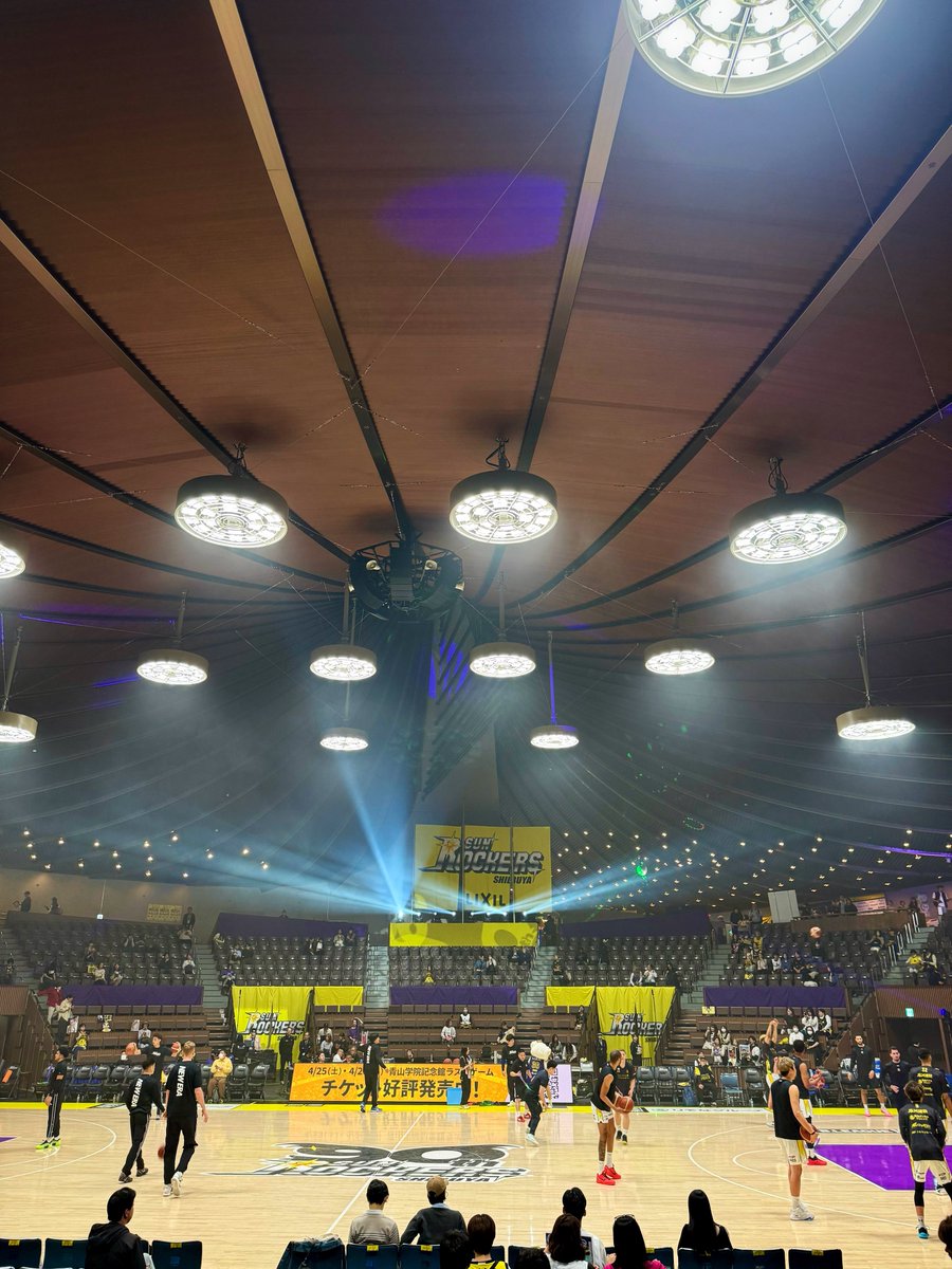 しまミケの猫🐈。 tweet media