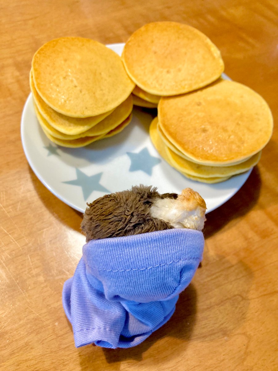 ×@5/5 西1 イ57b tweet media