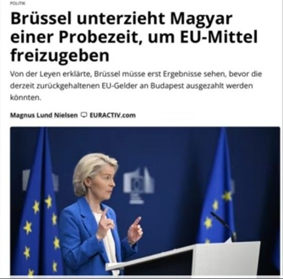 Die Rabenkrähe tweet media