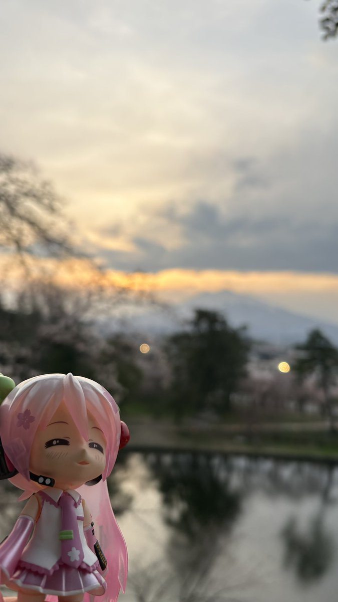 タンパク(優しくなりたい) tweet media